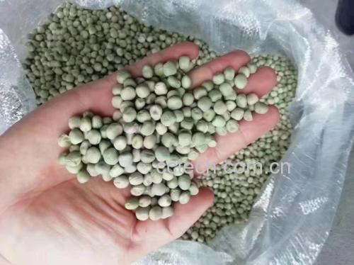 小扁豆实物图