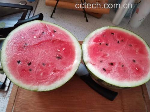 木瓜切片摆盘图