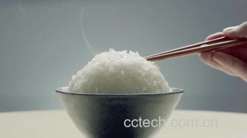 青萝卜炖鸭子配米饭食用