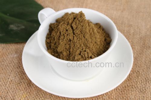 黑胡椒粉撒在白色瓷勺上的特写