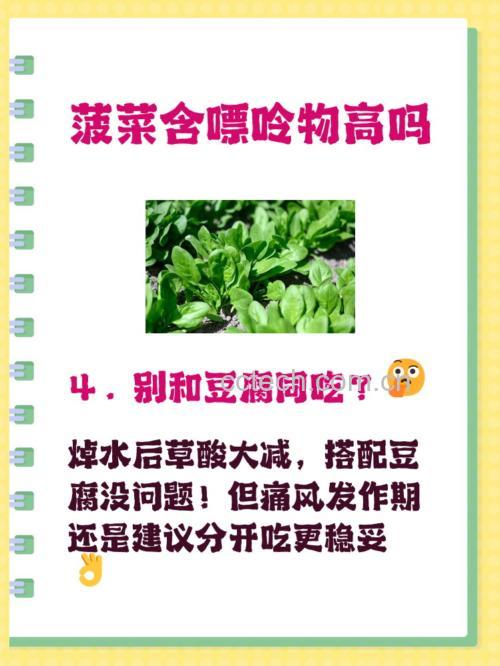 菠菜焯水过程