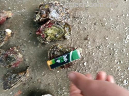 生蚝烧烤图