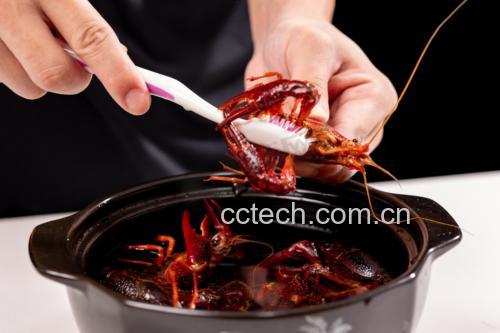 小龙虾清洗过程特写