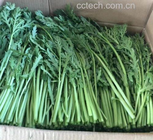 竹制蒸屉上铺满金黄色裹粉茼蒿颗粒,大小均匀饱满,表面泛细腻光泽,蒸汽正从屉缝升腾