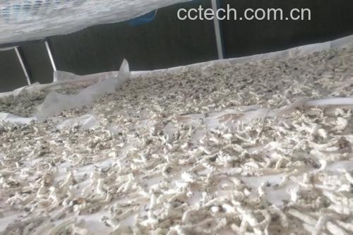 蚕丝被与大豆棉被芯在恒温恒湿箱中水汽透过速率实时曲线图