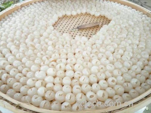 干桂圆成品图