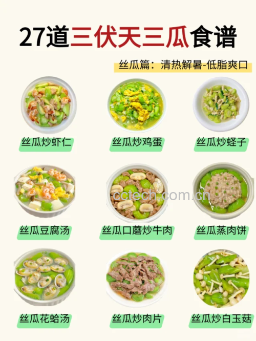 冬瓜与丝瓜并列摆放，背景为竹编菜篮，旁边有新鲜姜片作为对比