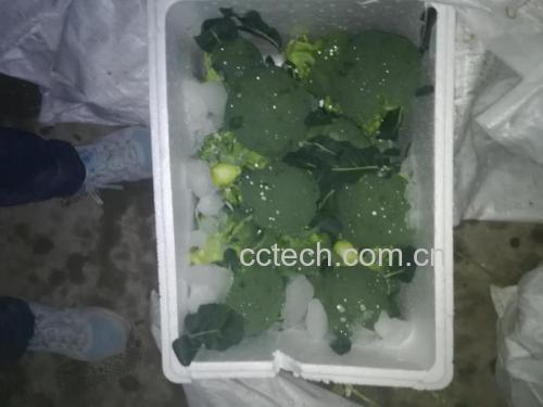 家庭冰箱中西兰花的正确存放方式
