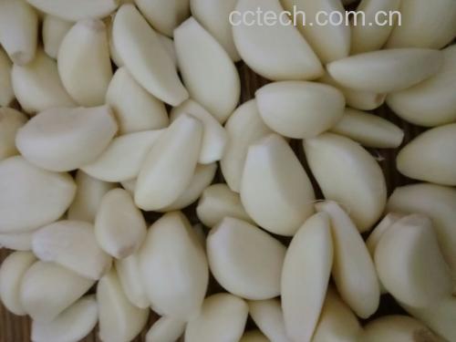 蒜苔与新鲜大豆特写对比图