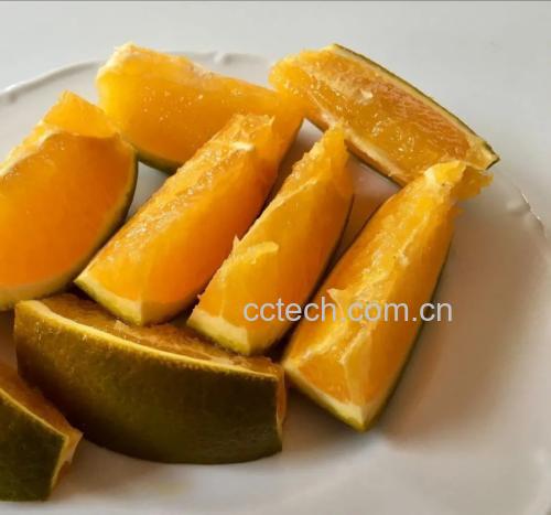 赣南脐橙切片摆盘图