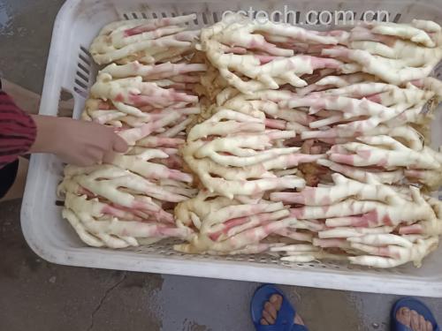 家庭厨房中的小黄姜料理场景