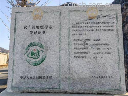 汉源贡椒地理标志认证证书与实验室检测报告局部特写:清晰可见AGI编号、检测项目“挥发油4.52%”、“铅<0.05mg/kg”、“砷<0.02mg/kg”等关键数据