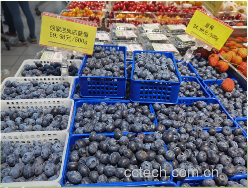 超市货架上的蓝莓产品分类展示
