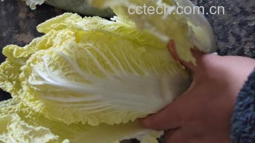 黄心白菜与其他蔬菜对比图
