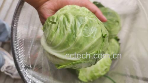 花青素提取实验过程图