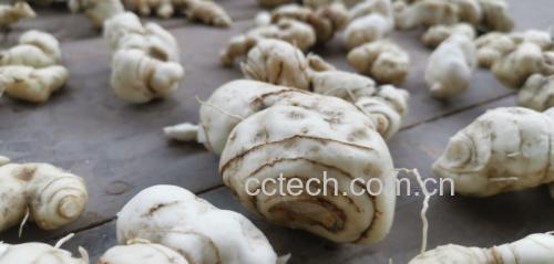 黄精与熟地黄的外观对比图