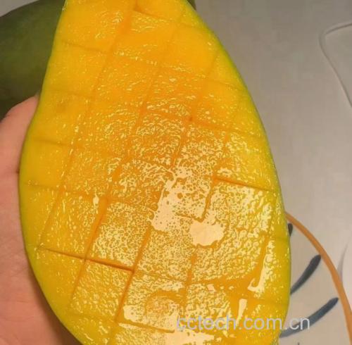 金煌芒果肉切片摆盘图