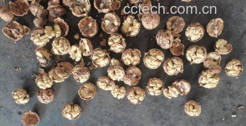 薄皮核桃营养成分分析图
