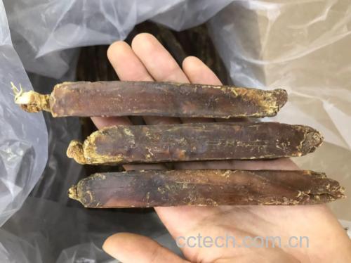 高丽参元服用场景图