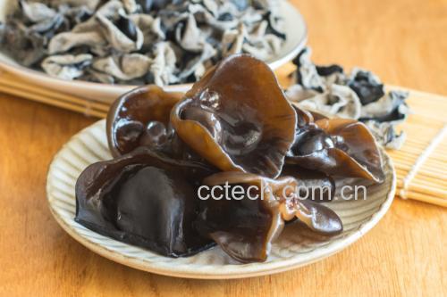 黑木耳烹饪方式推荐