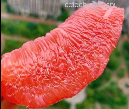 红心柚果肉特写,展现其晶莹剔透的质感