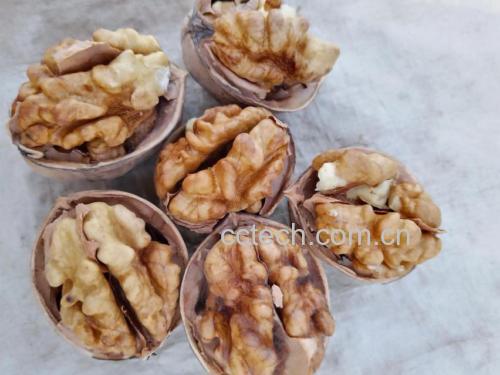 脆枣能量球成品图