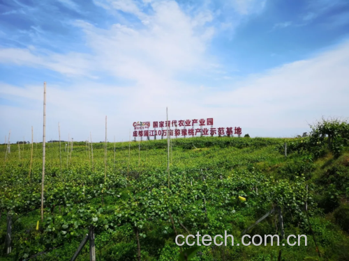 中国主要猕猴桃产区地图示意