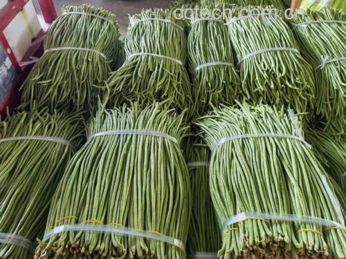 无筋豆凉拌的准备食材展示图