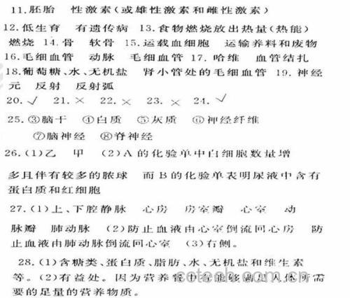 鹿鞭与鹿蛋功效靶点示意图