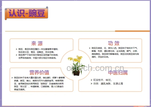 干豌豆营养图表信息图