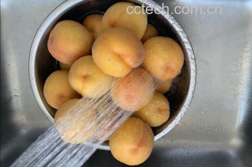 黄桃原料清洗过程