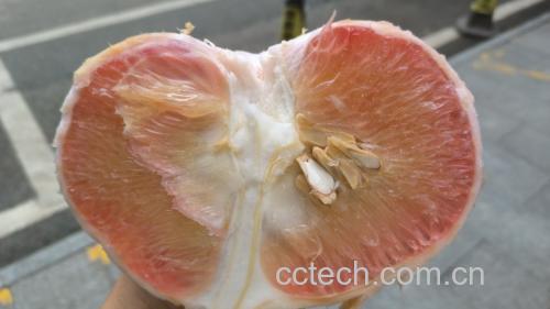 柚子与健康饮食搭配