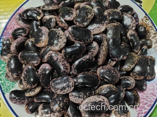 熟地黄煲黑豆食用场景图