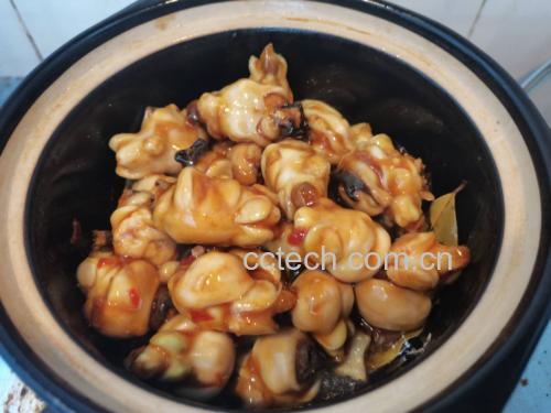 章鱼和鱿鱼不同烹饪方式展示