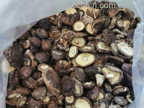 香菇的营养价值
