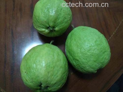 番石榴叶水成品与对比参照