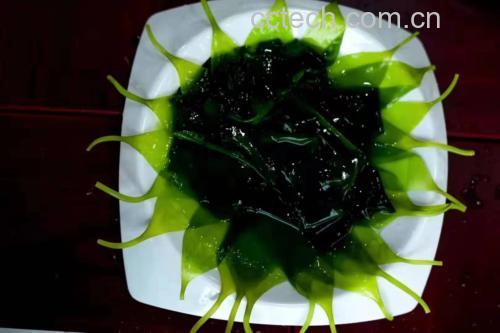 海带与其他食材搭配示意图