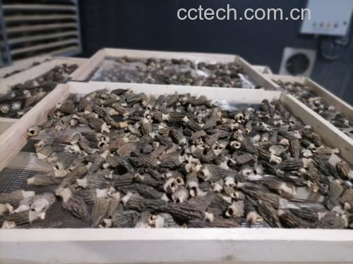 羊肚菌保存方式示意图
