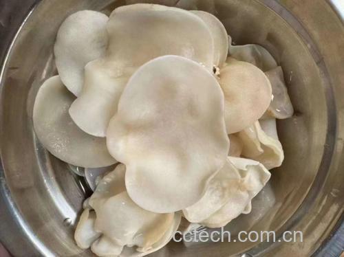 雪梨银耳羹成品图