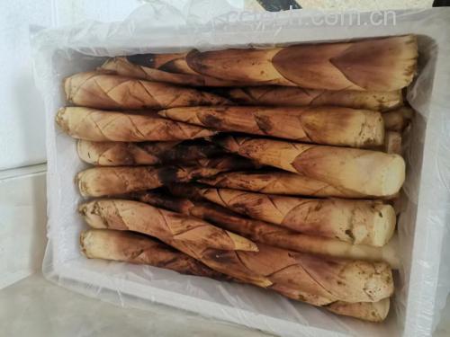 泡竹笋在透明玻璃罐中浸泡特写