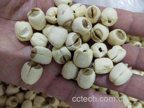 桂圆莲子粥成品图