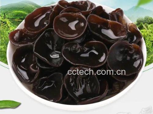 黑木耳蒸瘦肉成品图