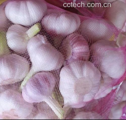 大蒜的营养组成