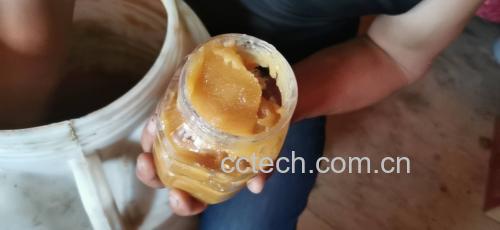 罗汉果与蜂蜜搭配冲泡过程图