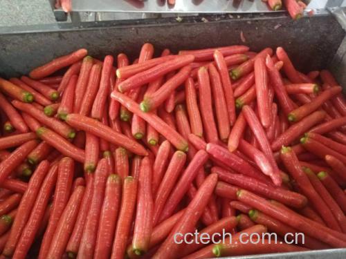 实验室场景:电子天平上放置去皮胡萝卜块与标准100g砝码,背景为食品成分分析仪器(HPLC糖谱仪显示屏可见蔗糖/葡萄糖/果糖峰图)
