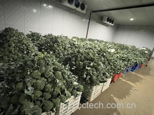 去皮土豆冷藏保存示意图
