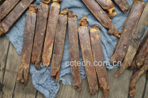正官庄红参饮品在不同进食状态下的人参皂苷血药浓度曲线对比图