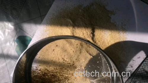 蒜米挑选与清洗过程