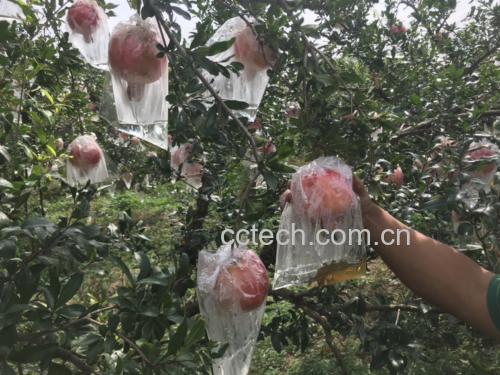 信息图表:三栏对比图,左侧为“健康成人:80g/日(1/4果)”,中部为“糖尿病患者:40g/日+减主食”,右侧为“服药人群:72小时禁食”,每栏配对应人群剪影图标及红色禁用符号