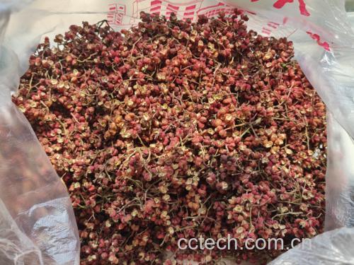黑胡椒与白胡椒对比图